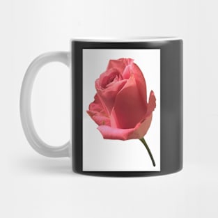 Pink Rose on White photograph Mug